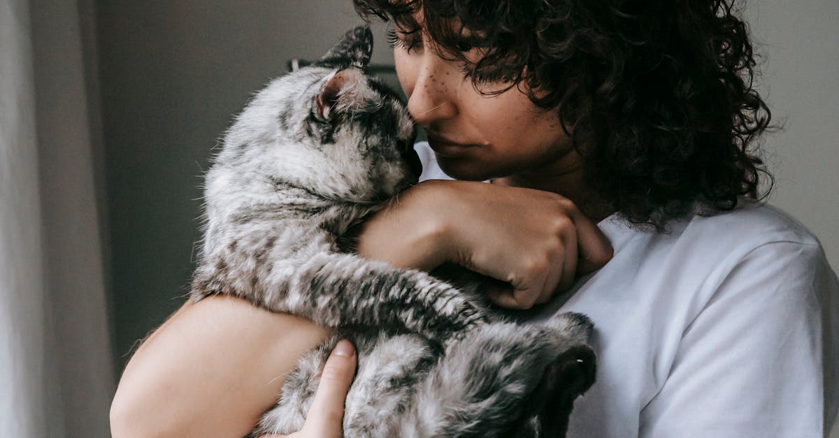 entdecken sie umfassende tipps und ratschläge zur katzenpflege. erfahren sie alles über ernährung, gesundheit, verhalten und artgerechte haltung, um sicherzustellen, dass ihre katze glücklich und gesund bleibt.