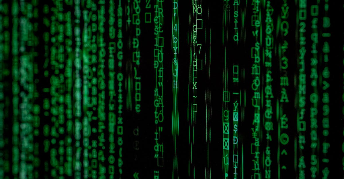 entdecken sie das pe program: ihr weg zu persönlichem wachstum und beruflichem erfolg. lassen sie sich von unseren innovativen ansätzen inspirieren und erreichen sie ihre ziele mit leichtigkeit.