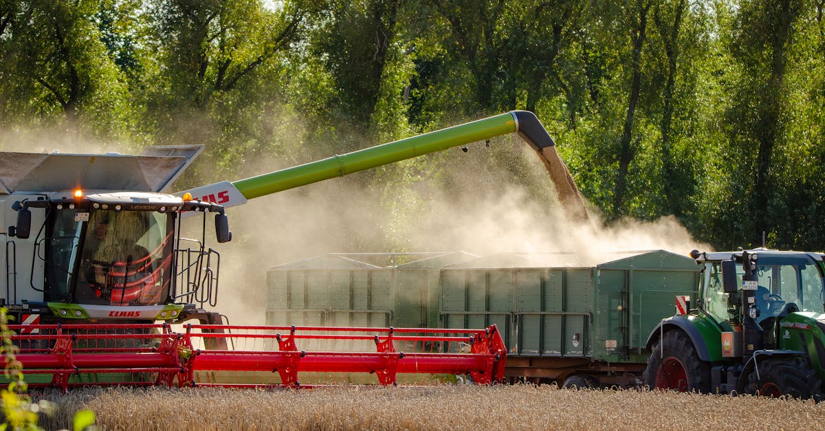 erfahren sie alles über agrartechnologie: innovative lösungen für eine nachhaltige landwirtschaft, moderne anbauverfahren und neueste technologien zur effizienzsteigerung in der agrarwirtschaft.