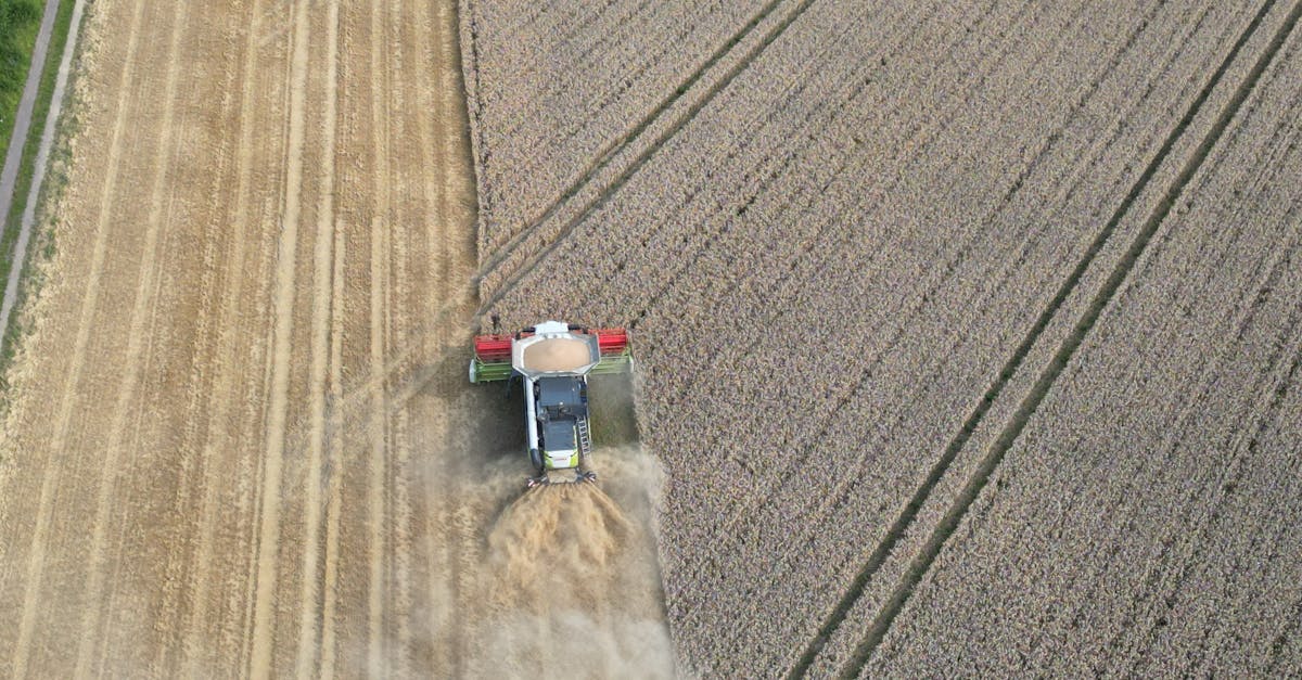 entdecken sie die neuesten innovationen in der agrartechnologie, die die effizienz und nachhaltigkeit in der landwirtschaft revolutionieren. erfahren sie, wie moderne technologien den ertrag steigern und umweltfreundliche praktiken fördern.