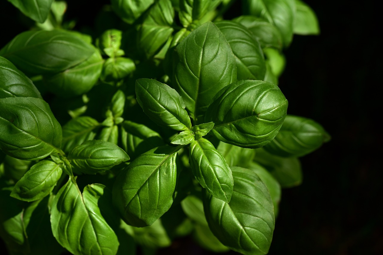 entdecken sie die aufregende welt der kulinarik: von exquisiten rezepten bis hin zu den neuesten gastronomietrends. lassen sie sich von unseren tipps und ideen inspirieren und erleben sie unvergessliche geschmackserlebnisse.