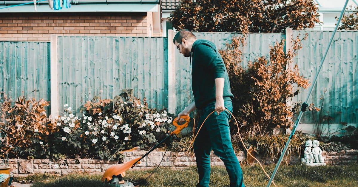 entdecken sie die freude am gärtnern! tipps und tricks für angehende gärtner, hilfreiche anleitungen und kreative ideen für ihren garten. erfahren sie, wie sie ihre pflanzen gesund und nachhaltig pflegen können.