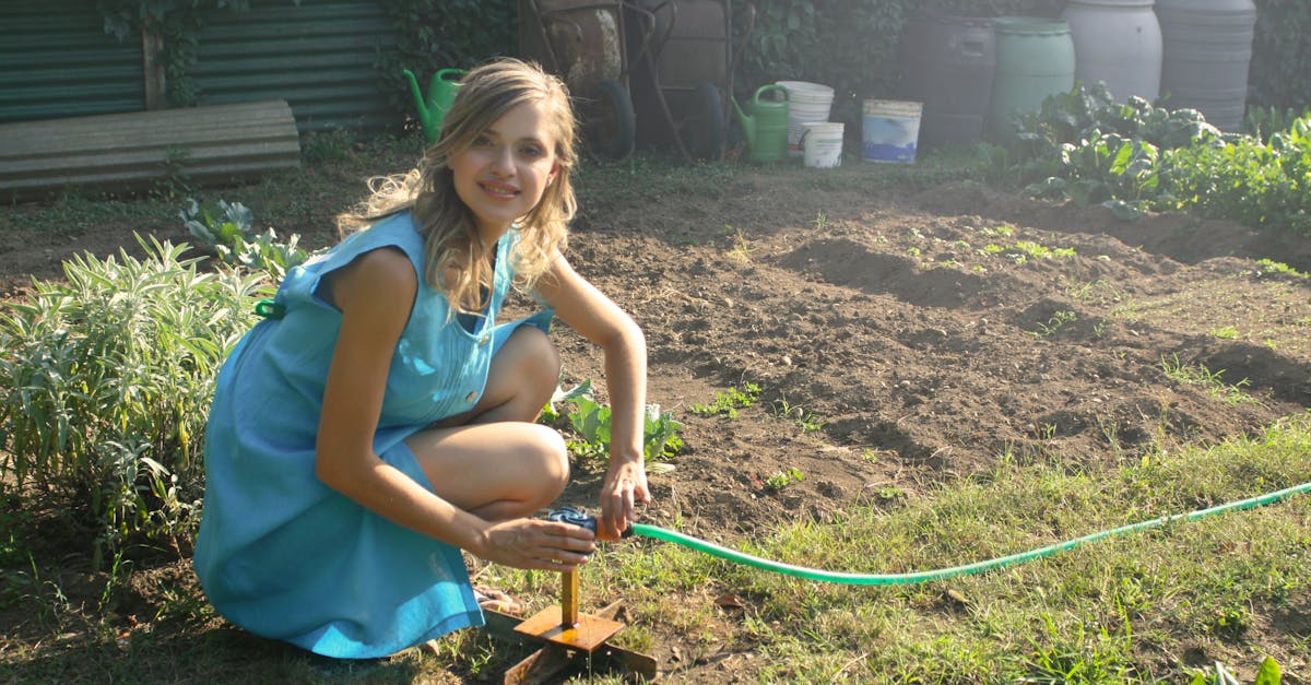 entdecken sie die welt des gartens mit tipps zur pflanzenpflege, gestaltung und nachhaltigem gärtnern. lassen sie sich von kreativen ideen inspirieren und bringen sie farbe in ihren garten!