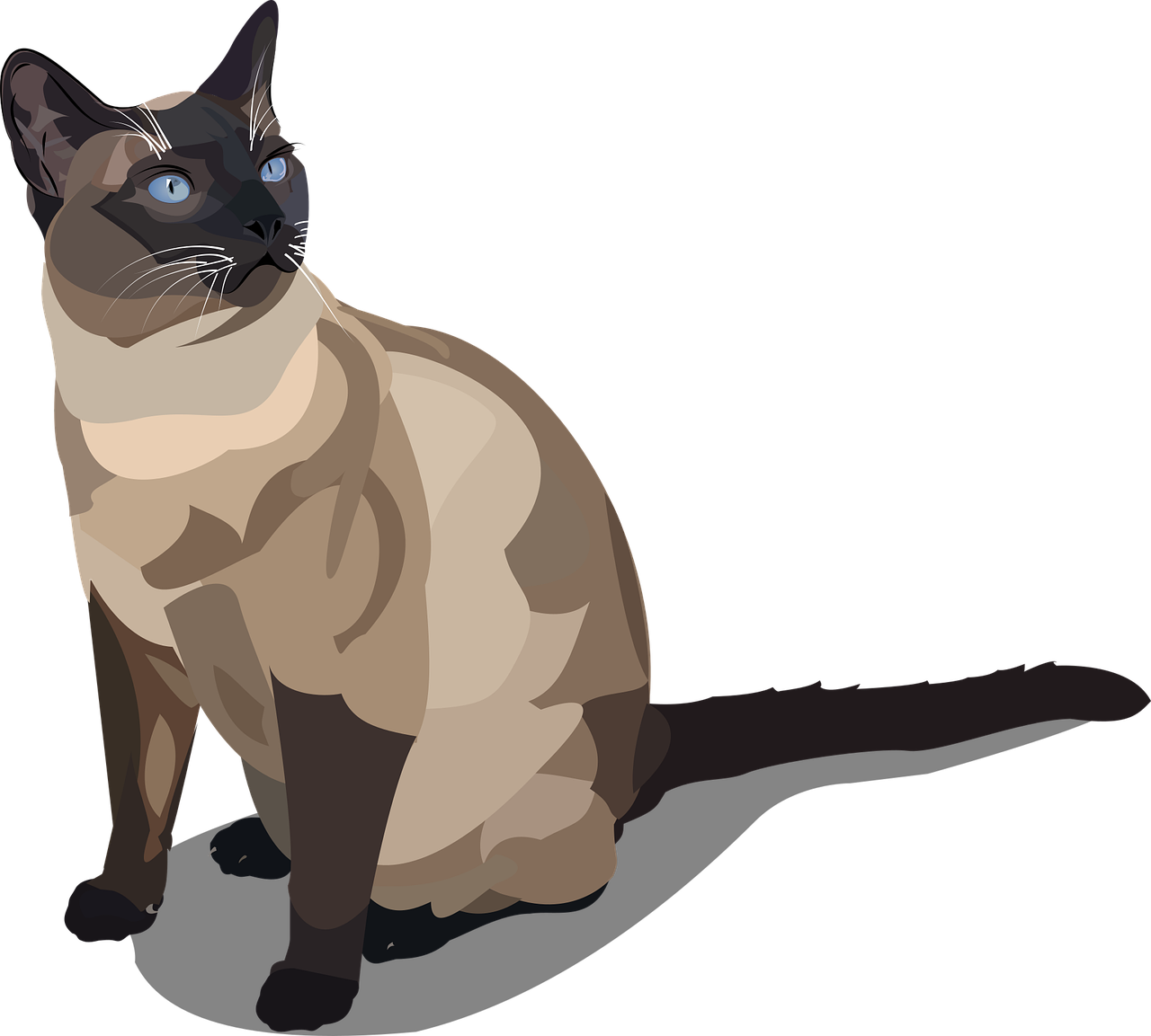 entdecken sie in unserem blog alles über den kater – von den ursachen bis zu bewährten hausmitteln. erfahren sie, wie sie die symptome lindern und zukünftige kater vermeiden können. lesen sie jetzt mehr über die besten tipps zur schnellen genesung!