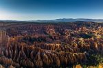 entdecken sie die vielfalt der usa! von atemberaubenden nationalparks über pulsierende städte bis hin zu unvergesslichen erlebnissen – ihr perfekter usa-trip wartet auf sie. planen sie jetzt ihre reise!