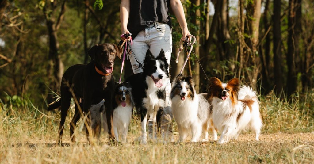 entdecken sie spannende aktivitäten für jedes alter und interesse. von outdoor-abenteuern bis zu kulturellen erlebnissen – finden sie die perfekten freizeitmöglichkeiten, um ihre zeit sinnvoll zu gestalten.