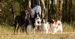 entdecken sie spannende aktivitäten für jedes alter und interesse. von outdoor-abenteuern bis zu kulturellen erlebnissen – finden sie die perfekten freizeitmöglichkeiten, um ihre zeit sinnvoll zu gestalten.