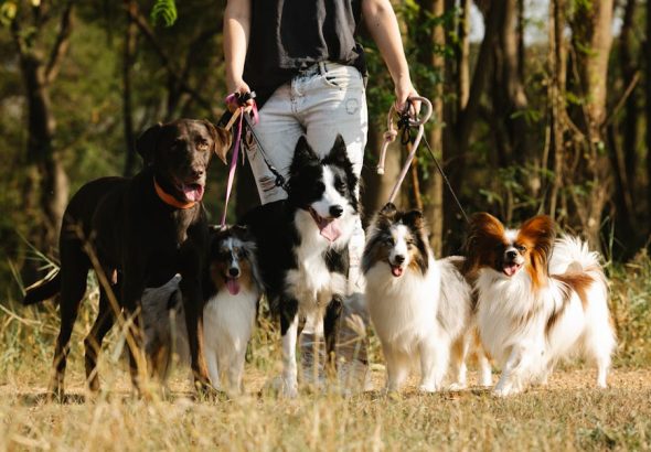 entdecken sie spannende aktivitäten für jedes alter und interesse. von outdoor-abenteuern bis zu kulturellen erlebnissen – finden sie die perfekten freizeitmöglichkeiten, um ihre zeit sinnvoll zu gestalten.