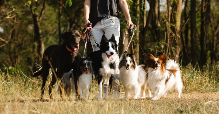 entdecken sie spannende aktivitäten für jedes alter und interesse. von outdoor-abenteuern bis zu kulturellen erlebnissen – finden sie die perfekten freizeitmöglichkeiten, um ihre zeit sinnvoll zu gestalten.