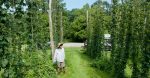 entdecken sie die vorteile der nachhaltigen landwirtschaft: umweltfreundliche anbaumethoden, der schutz der artenvielfalt und die förderung einer gesunden ernährung. erfahren sie, wie nachhaltige landwirtschaft zur verbesserung unserer umwelt beiträgt.