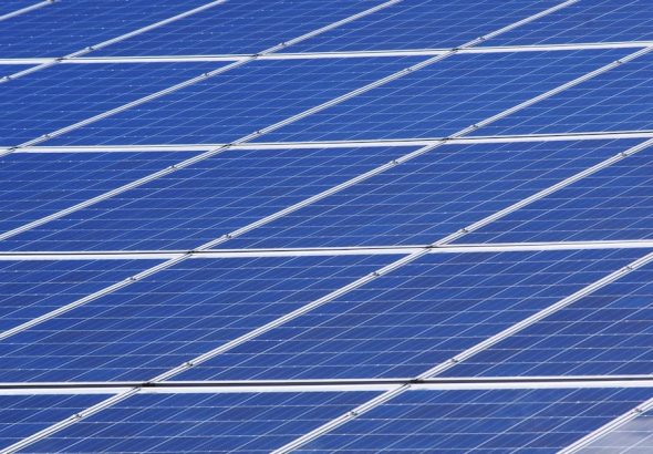 entdecken sie die neuesten trends und strategien zur nachhaltigkeit. erfahren sie, wie umweltbewusste praktiken ihren lebensstil verbessern und die zukunft unseres planeten sichern können.