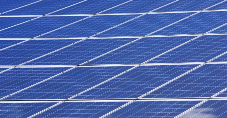 entdecken sie die neuesten trends und strategien zur nachhaltigkeit. erfahren sie, wie umweltbewusste praktiken ihren lebensstil verbessern und die zukunft unseres planeten sichern können.