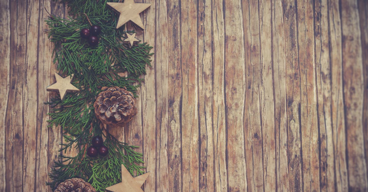 entdecken sie festliche weihnachtsdekorationen, die ihr zuhause in eine zauberhafte winterwunderlandschaft verwandeln. von funkelnden lichtern bis hin zu handgefertigten ornamenten – finden sie alles, was sie für ein magisches weihnachtsfest benötigen!