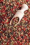 entdecken sie die vielfältigen aromen und geschmäcker, die ihr kocherlebnis bereichern. von exotischen gewürzen bis hin zu klassischen zutaten – lassen sie sich inspirieren und genießen sie kulinarische abenteuer!