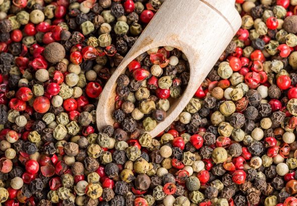 entdecken sie die vielfältigen aromen und geschmäcker, die ihr kocherlebnis bereichern. von exotischen gewürzen bis hin zu klassischen zutaten – lassen sie sich inspirieren und genießen sie kulinarische abenteuer!
