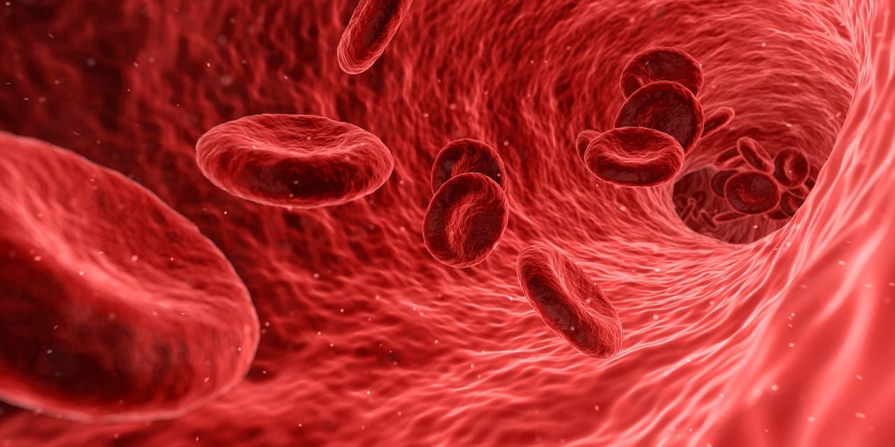 entdecken sie die verschiedenen gesundheitsrisiken, die unser tägliches leben beeinflussen können. informieren sie sich über präventionsmaßnahmen und wege, um ihre gesundheit zu schützen.