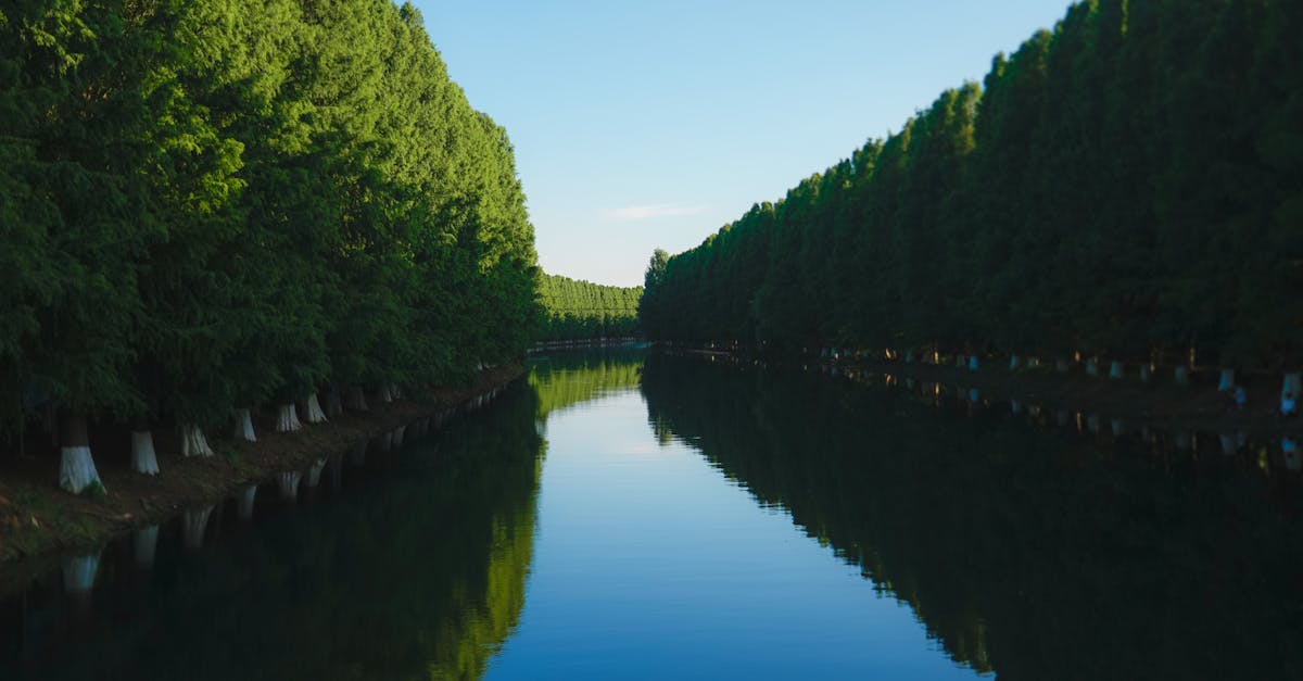 entdecken sie unvergessliche outdoor-erlebnisse, die abenteuer und natur miteinander verbinden. von aufregenden wanderungen bis hin zu entspannenden campingausflügen - genießen sie die freiheit der natur!