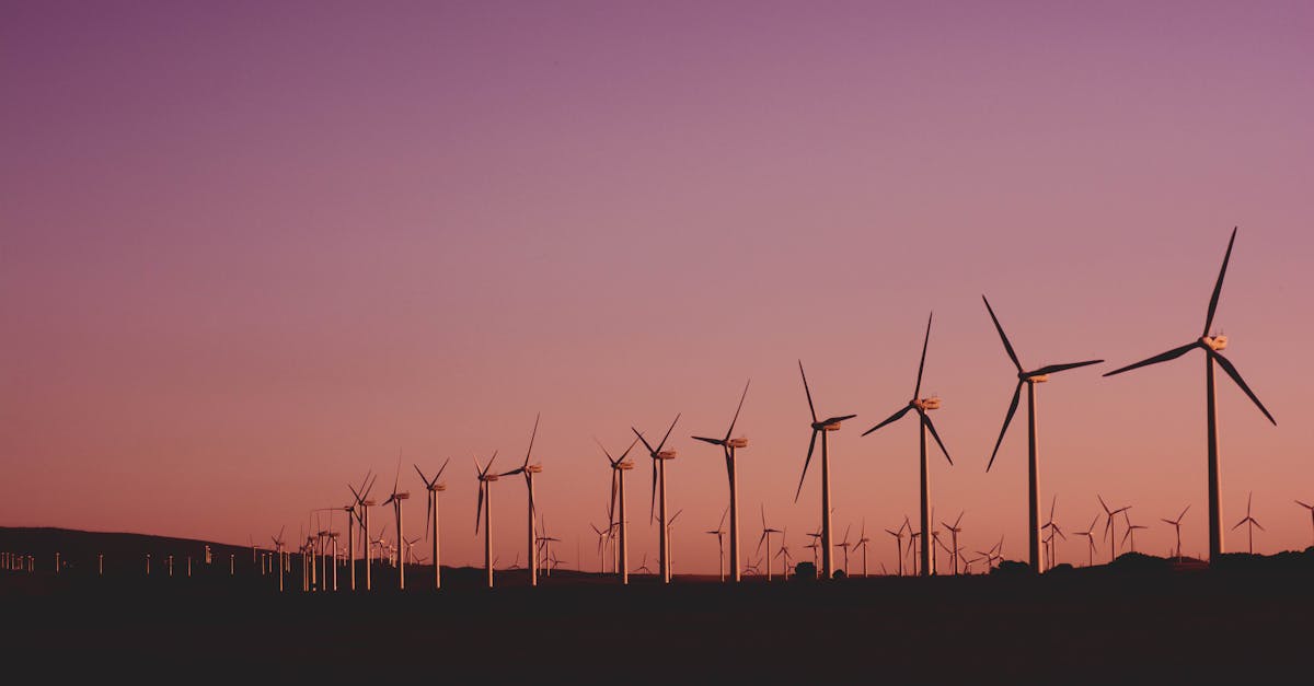 entdecken sie die neuesten trends und strategien zur nachhaltigkeit. erfahren sie, wie nachhaltige praktiken in verschiedenen branchen implementiert werden können, um die umwelt zu schützen und eine lebensfähige zukunft zu gewährleisten.