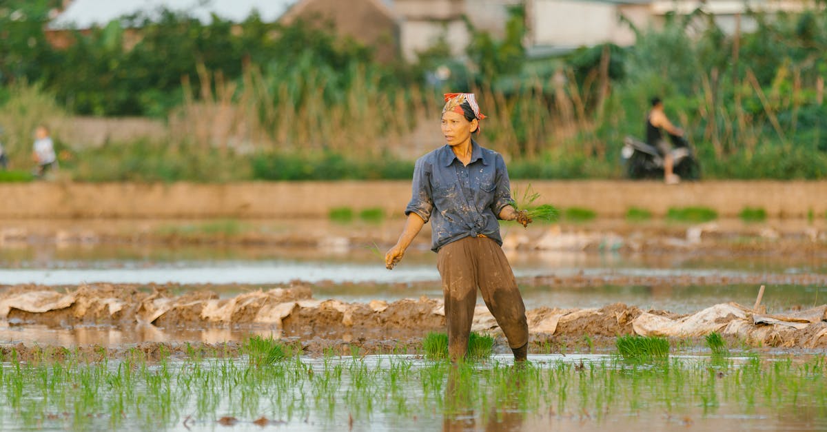 entdecken sie die vorteile der nachhaltigen landwirtschaft, die umweltfreundliche praktiken fördert, ressourcen schont und die artenvielfalt erhält. erfahren sie, wie nachhaltige techniken die lebensmittelproduktion verbessern und gleichzeitig den planeten schützen.