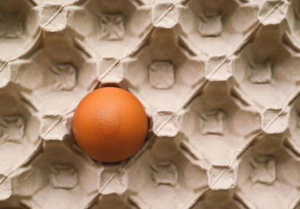 entdecken sie effektive methoden zur lebensmittelaufbewahrung, um frische und geschmack zu bewahren. erfahren sie tipps und tricks für die richtige lagerung von lebensmitteln in ihrem zuhause.