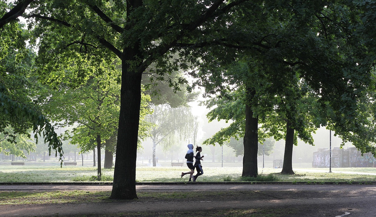 entdecken sie effektive übungen für fitness und gesundheit. tipps, trainingspläne und inspiration für anfänger und fortgeschrittene, um ihre körperliche leistungsfähigkeit zu steigern.