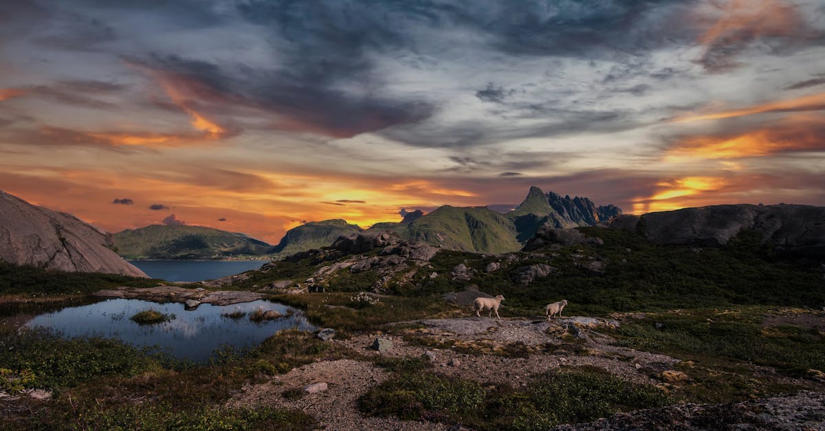 entdecken sie unvergessliche naturerlebnisse: wandern, abenteuer und erholung in atemberaubenden landschaften. natur pur genießen und neue energie tanken!