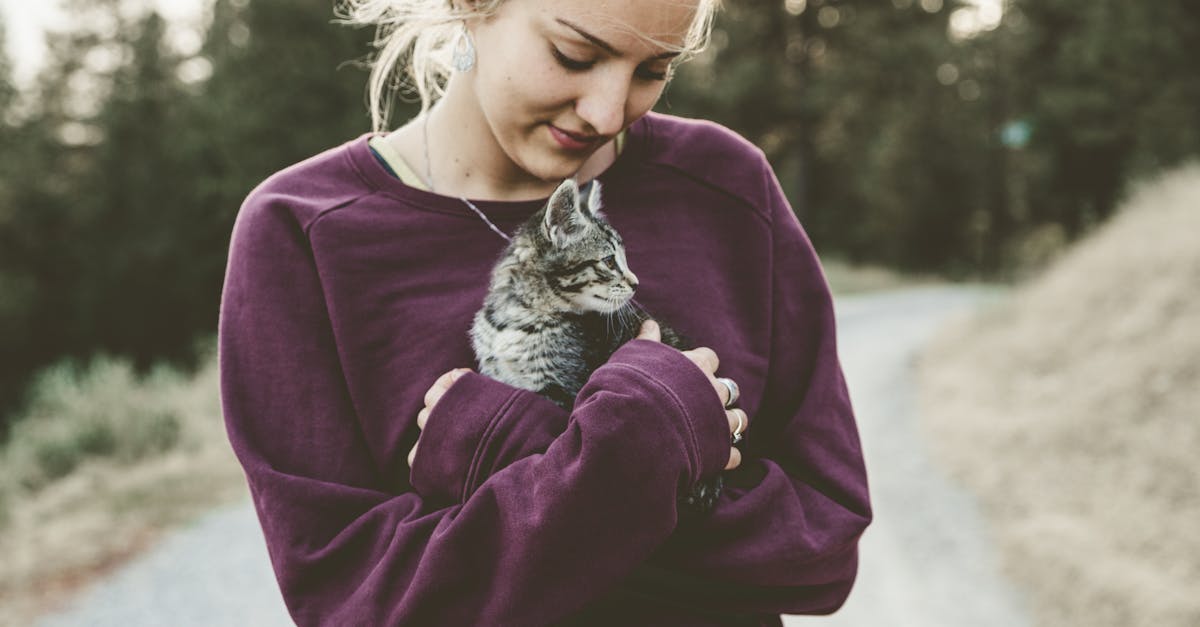 entdecken sie umfassende tipps und ratschläge zur optimalen pflege ihrer haustiere. von ernährung über hygiene bis zu gesundheitsvorsorge – hier finden sie alles rund um pet care.
