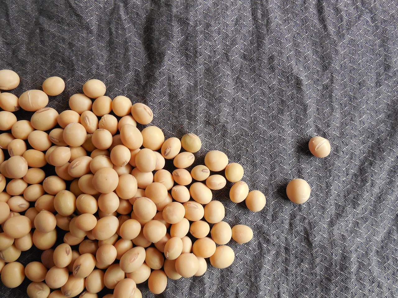 entdecken sie die welt der pflanzlichen ernährung! erfahren sie alles über plant-based lebensmittel, vorteile für gesundheit und umwelt sowie leckere vegane rezepte für ihren alltag.