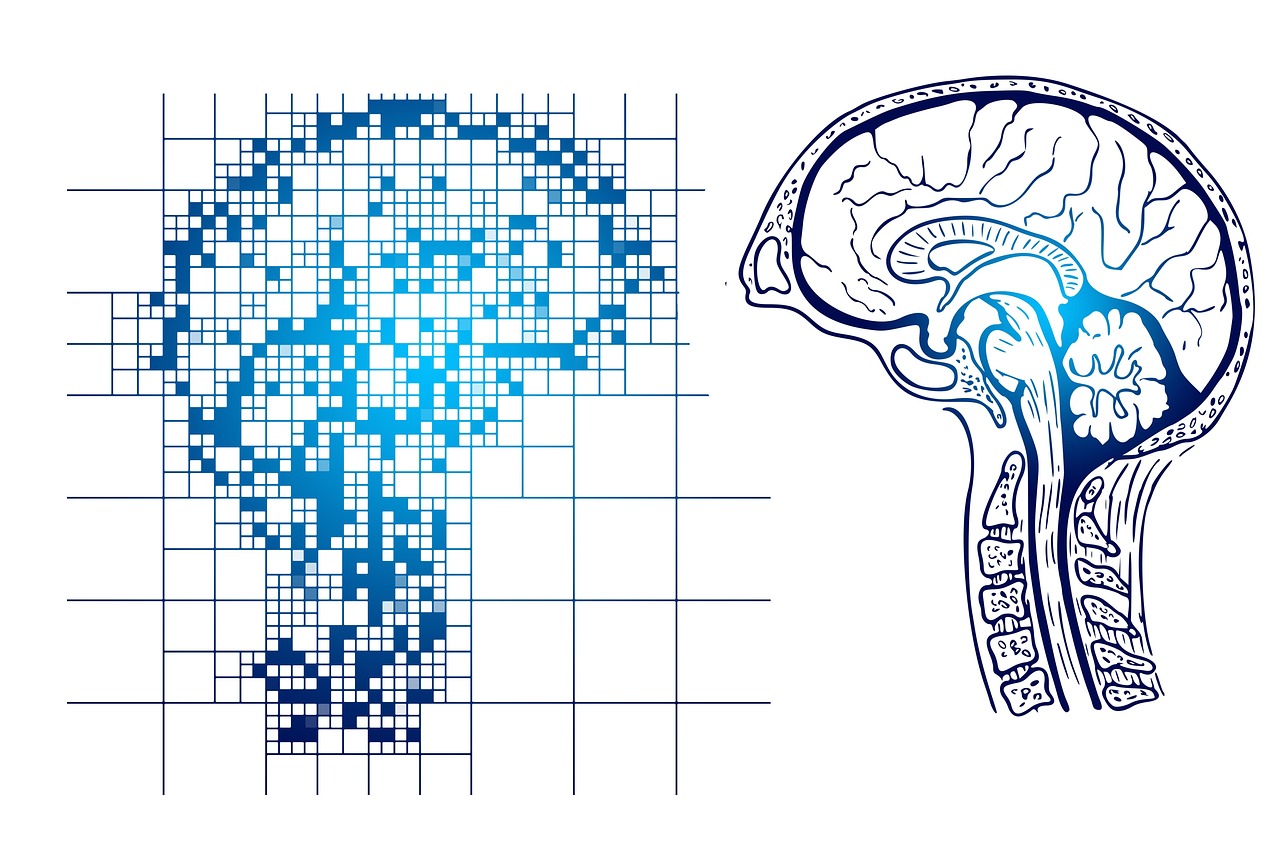 erfahren sie alles wichtige über demenz: symptome, ursachen, diagnose und behandlungsmöglichkeiten. informieren sie sich über präventionsmaßnahmen und die bestmögliche unterstützung für betroffene und angehörige.