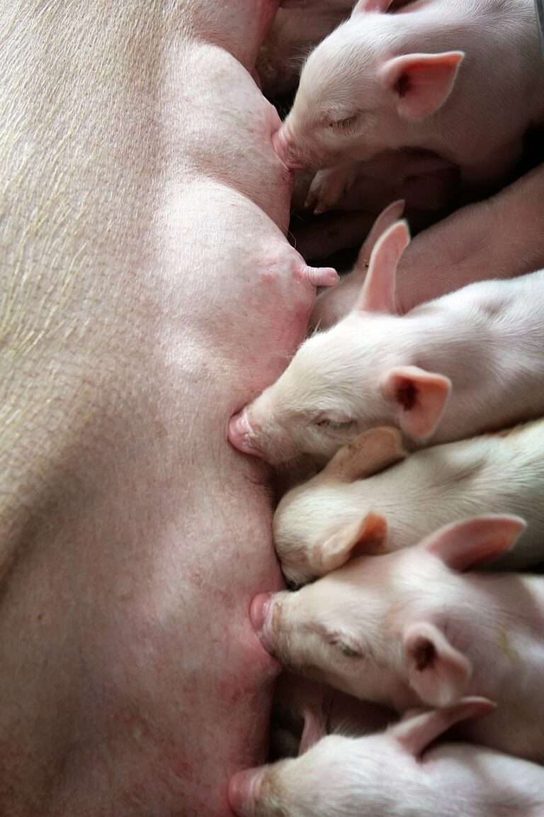 g1133b4458bf3c2c0403154d0b6065d4af698a7719829836bca79c9063e91e9d6bf17a52985f7ba931dfbbe39470b1241f1012fb1ad86915c1bda11b2ddb04589_1280