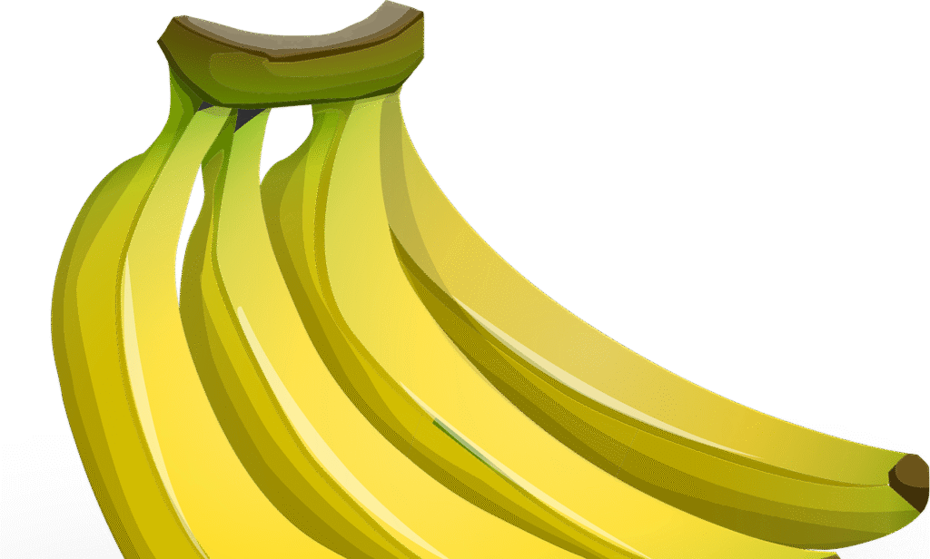 entdecken sie wertvolle informationen über ernährung, ausgewogene kost und gesunde essgewohnheiten. tipps zur verbesserung ihres wohlbefindens durch richtige ernährung.