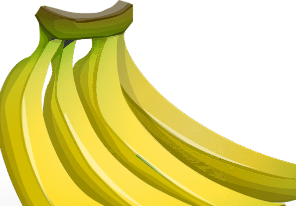 entdecken sie wertvolle informationen über ernährung, ausgewogene kost und gesunde essgewohnheiten. tipps zur verbesserung ihres wohlbefindens durch richtige ernährung.