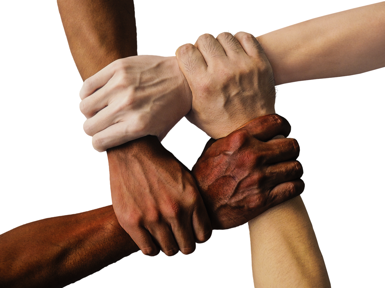 entdecken sie, wie freundschaften unser leben bereichern, unterstützung bieten und für unvergessliche momente sorgen. erfahren sie, warum echte freunde so wichtig sind!