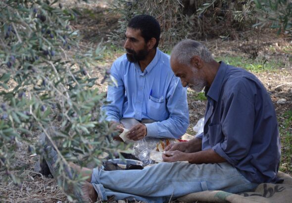 entdecken sie die reiche geschichte, kultur und aktuelle nachrichten über syrien. informieren sie sich über sehenswürdigkeiten, reiseziele und die politische lage in syrien.