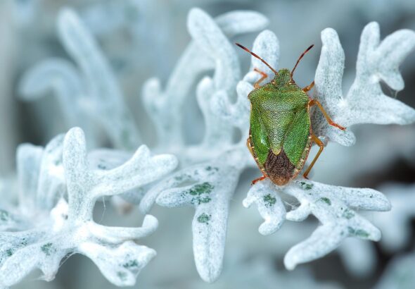 entdecken sie die häufigsten fehler und lernen sie, wie sie diese vermeiden können, um bessere ergebnisse zu erzielen.