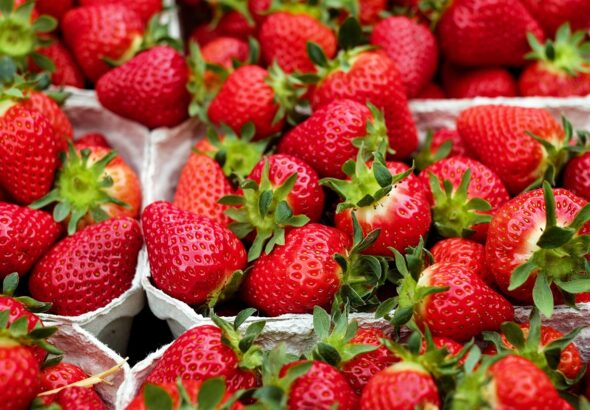 entdecken sie alles über nahrung: wissenswertes über gesunde ernährung, wichtige nährstoffe und tipps für eine ausgewogene lebensweise. erfahren sie, wie sie ihr wohlbefinden durch richtige ernährung steigern können.