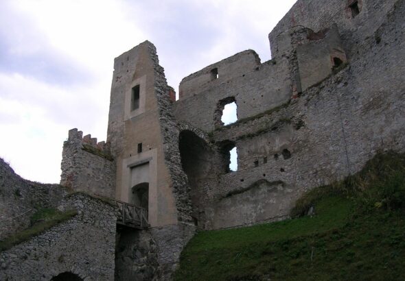 informationen über tollwut: symptome, übertragung, prävention und behandlung der gefährlichen virusinfektion.