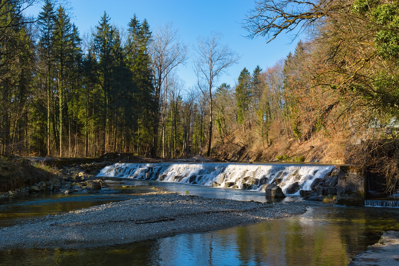 verordnung über den verteidigungsdienst: richtlinien und vorschriften zur organisation und durchführung des verteidigungsdienstes in deutschland.