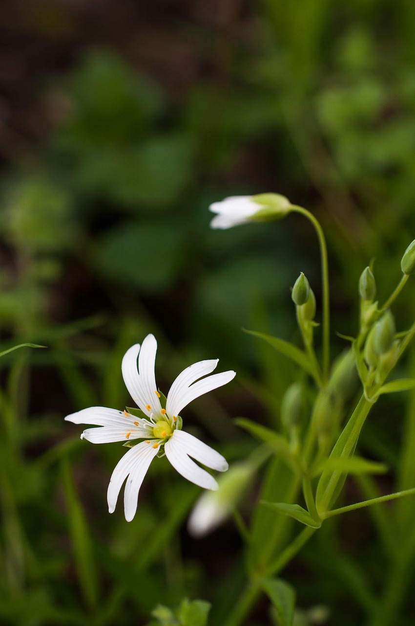 erfahren sie, wie ticket splitting die aufteilung von fahrkartenkosten zwischen mehreren personen erleichtert und somit gemeinsame reisen günstiger macht.