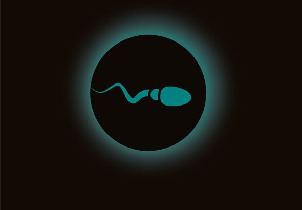 erfahren sie alles wissenswerte über spermien: funktionen, bedeutung für die fortpflanzung und wichtige gesundheitstipps.