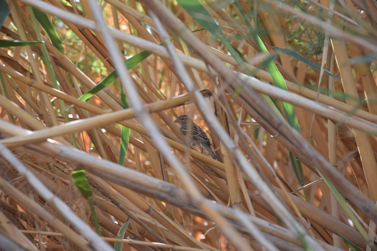 entdecken sie ihre pers&ouml;nliche home oasis &ndash; der perfekte r&uuml;ckzugsort f&uuml;r entspannung und wohlbefinden in ihrem zuhause.