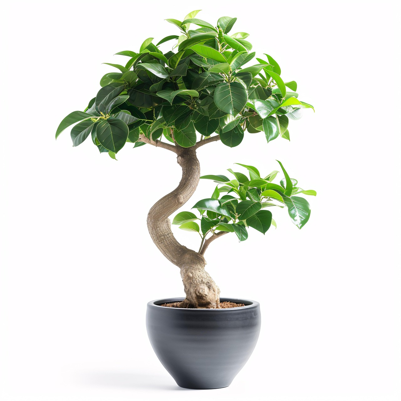 entdecken sie ihre pers&ouml;nliche home oasis &ndash; der perfekte r&uuml;ckzugsort f&uuml;r entspannung und wohlbefinden in den eigenen vier w&auml;nden.