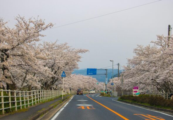 reisetipps und empfehlungen f&uuml;r eine sichere und angenehme reise. entdecken sie praktische ratschl&auml;ge zu zielorten, unterk&uuml;nften und transport.