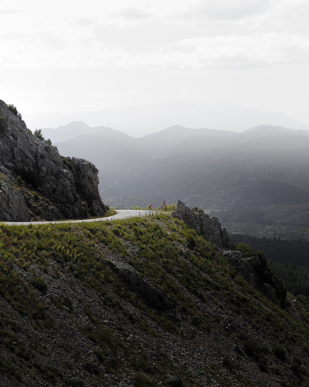 analyse des difficult&eacute;s rencontr&eacute;es lors du voyage en russie de weidel et chrupalla, explorant les enjeux politiques et logistiques.