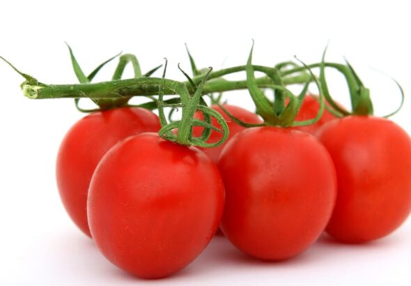 entdecken sie gesunde ern&auml;hrungstipps und rezepte f&uuml;r ein ausgewogenes und vitales leben.