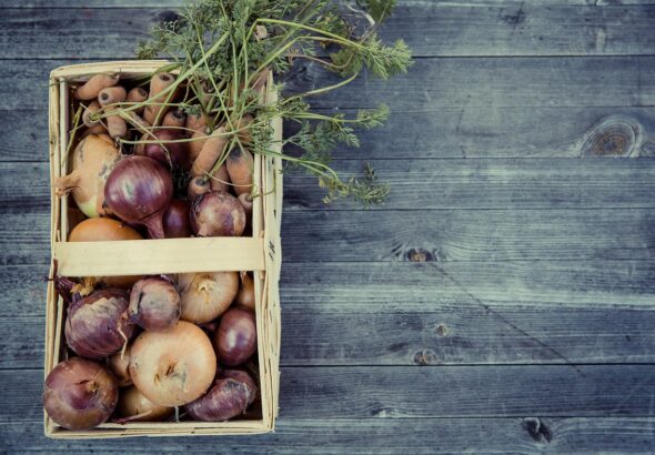 nachhaltiger konsum f&ouml;rdert umweltbewusstes handeln und den verantwortungsvollen einsatz von ressourcen f&uuml;r eine bessere zukunft.