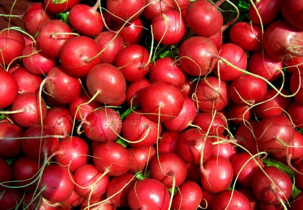 optimieren sie ihre monatlichen ausgaben effektiv mit unseren bew&auml;hrten strategien und tipps zur kostenreduzierung.